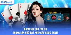 Cách Soi Cầu Tài Xỉu Thắng Lớn Nhờ Bắt Nhịp Cầu Cùng 8XBET